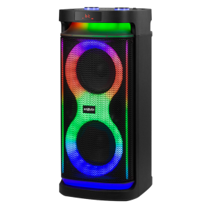 Party Box Portátil 2 x 6,5 Pulgadas 400 Watts PMPO