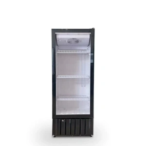 Expositor 1 puerta 190lts SC-190