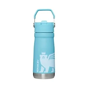STANLEY FLIP STRAW CLASSIC 17 OZ - STANLEY